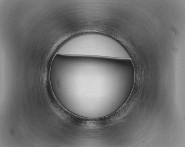 X0000113230064200909100951