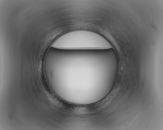 X0000113230066200909100951