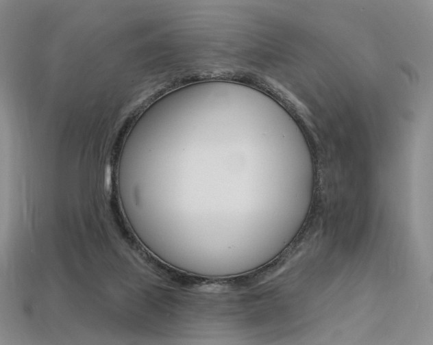 X0000113230067200909100951
