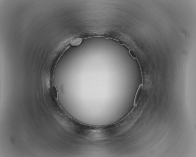 X0000113230068200909100951