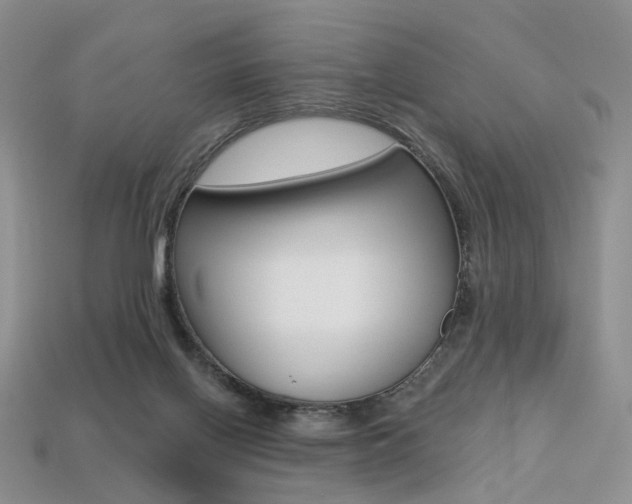X0000113230070200909100951
