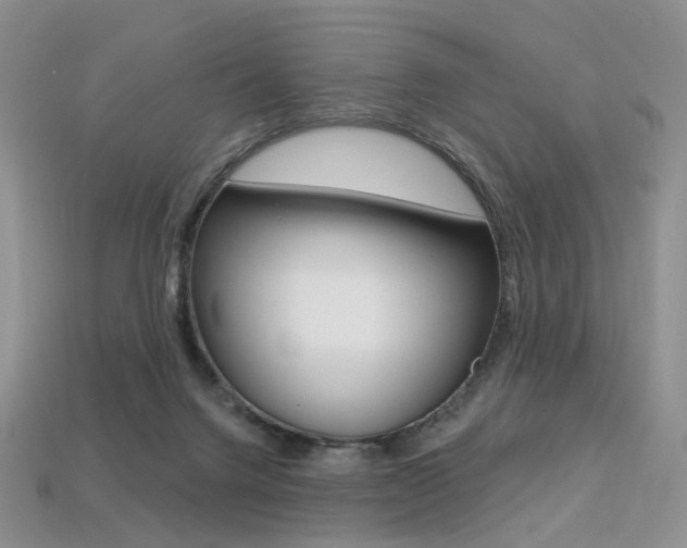 X0000113230072200909100951