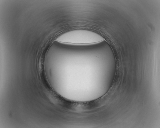 X0000113230074200909100951