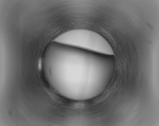X0000113230075200909100951