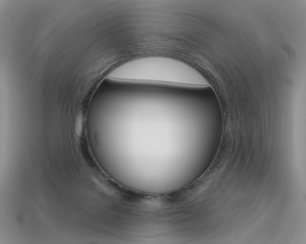 X0000113230076200909100952