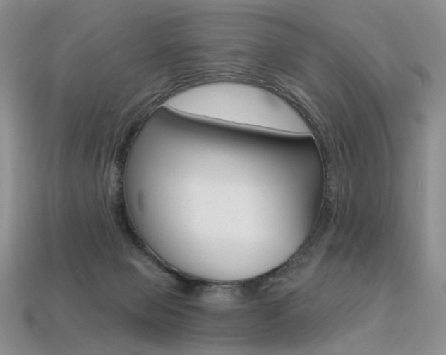 X0000113230077200909100952
