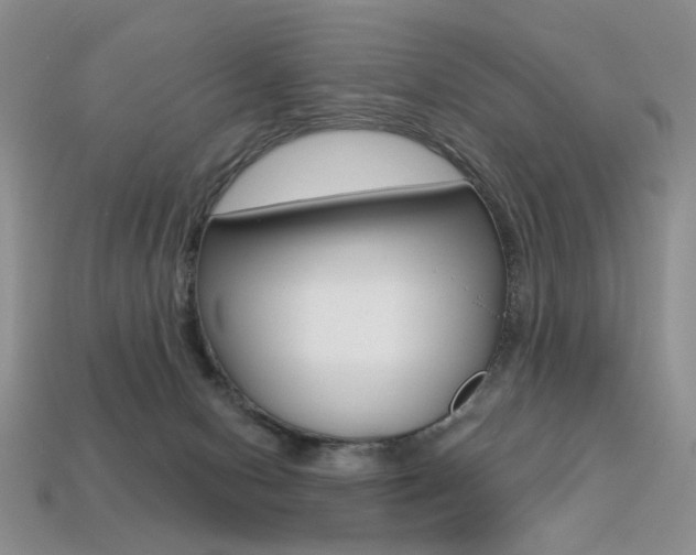 X0000113230078200909100952