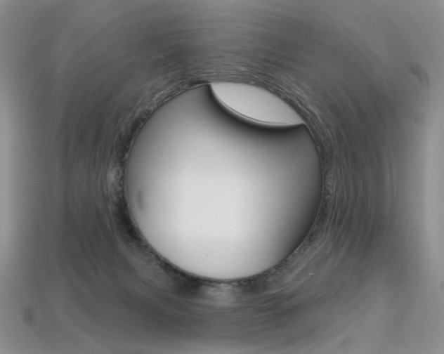 X0000113230079200909100952