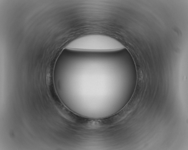 X0000113230080200909100952