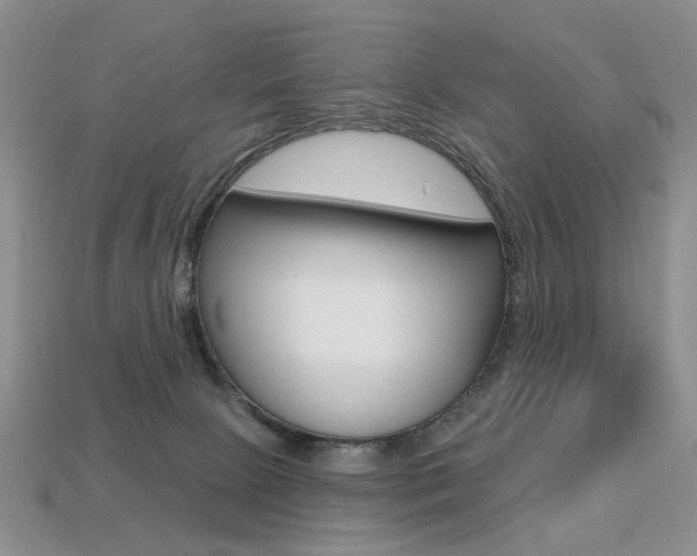 X0000113230081200909100952