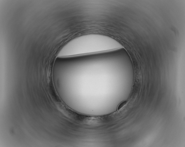 X0000113230082200909100952