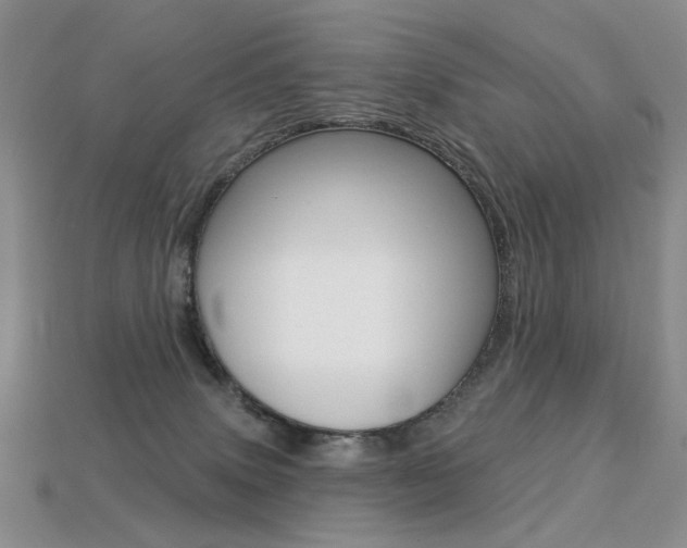 X0000113230083200909100952
