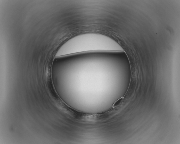 X0000113230084200909100952