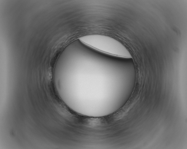 X0000113230085200909100952
