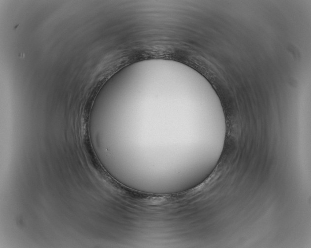 X0000113230086200909100952