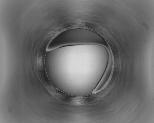 X0000113230088200909100952