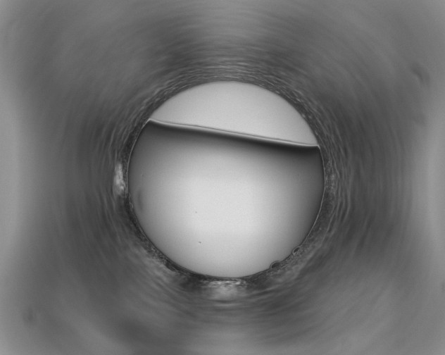 X0000113230089200909100952