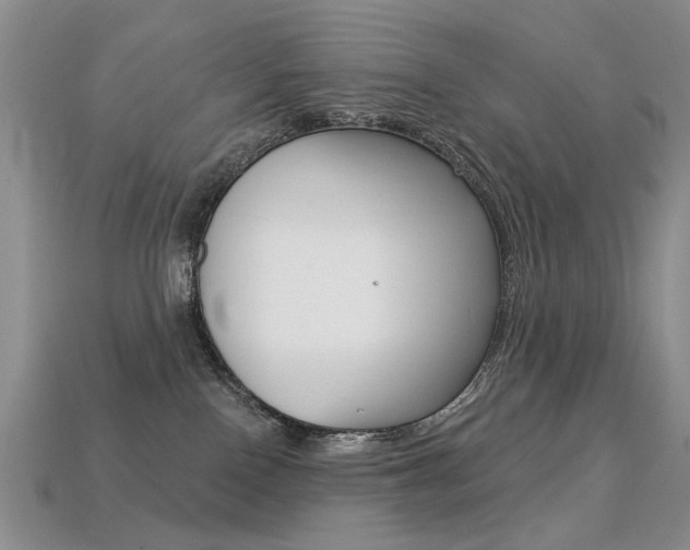 X0000113230090200909100952