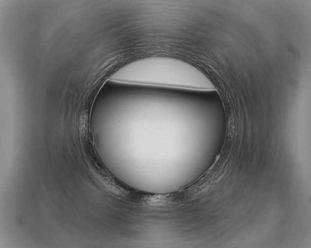 X0000113230092200909100952