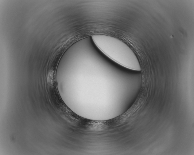 X0000113230093200909100952