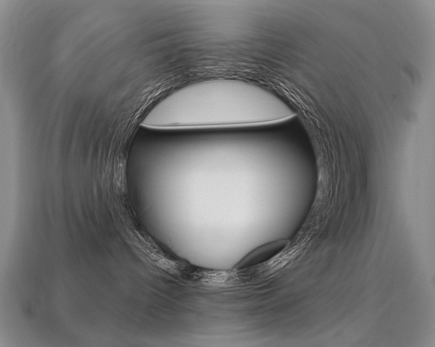 X0000113230096200909100952