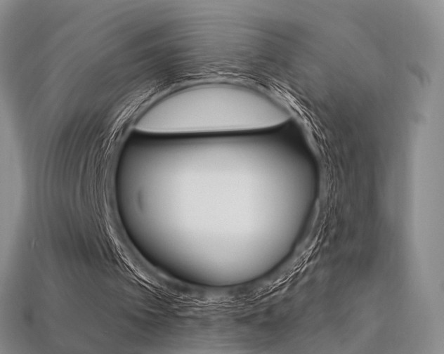 X0000113230097200909100951