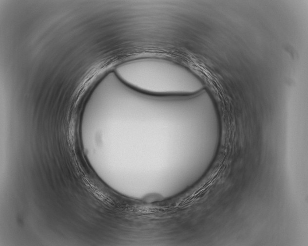 X0000113230098200909100951