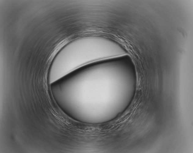 X0000113230099200909100951