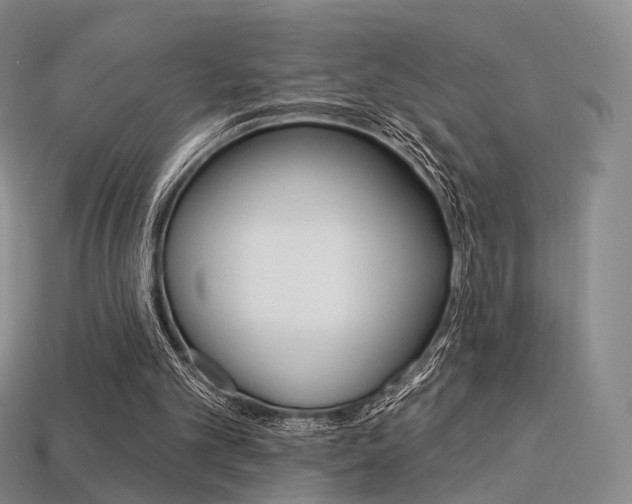 X0000113230101200909100951