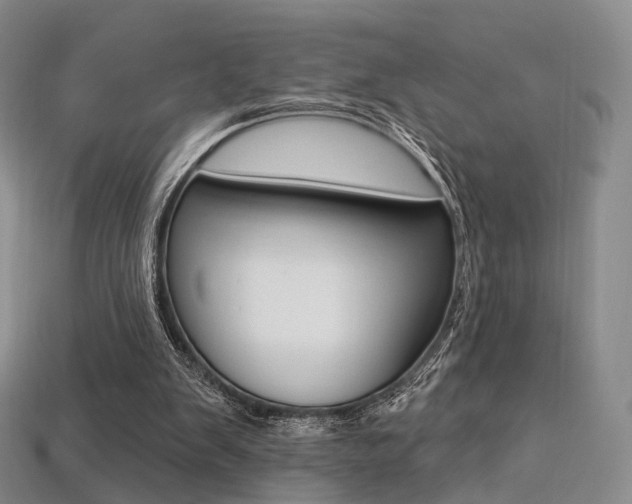 X0000113230103200909100951