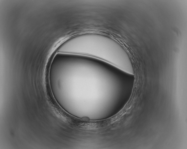 X0000113230104200909100951