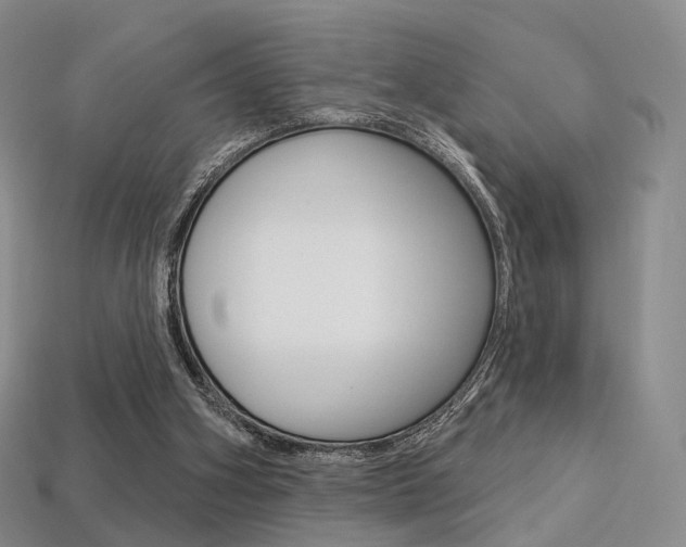 X0000113230106200909100951