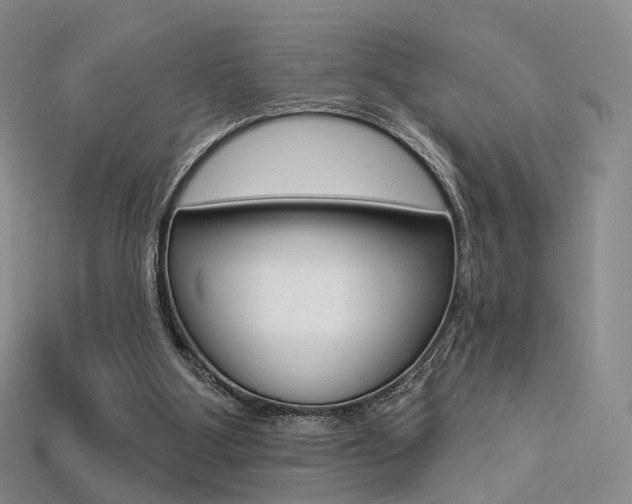 X0000113230107200909100951
