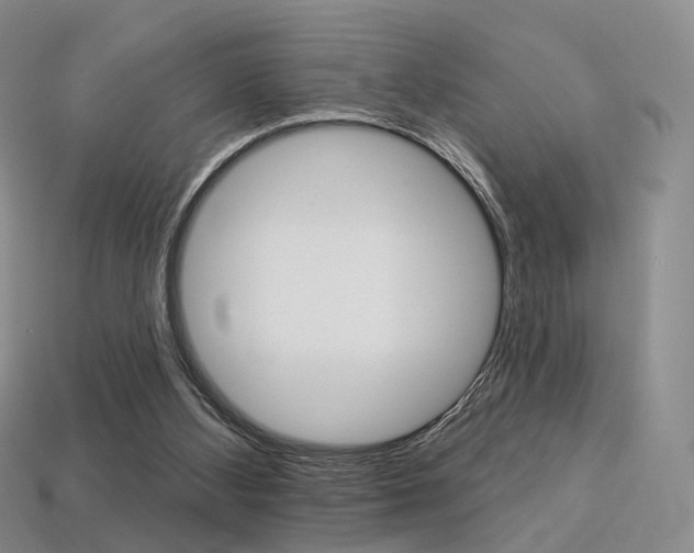 X0000113230108200909100951