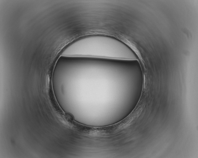 X0000113230109200909100951