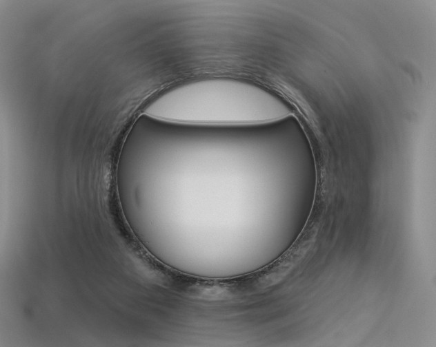 X0000113230113200909100951