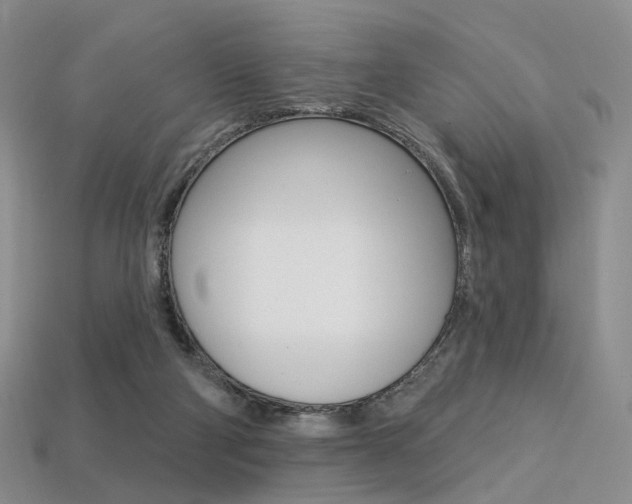 X0000113230114200909100951