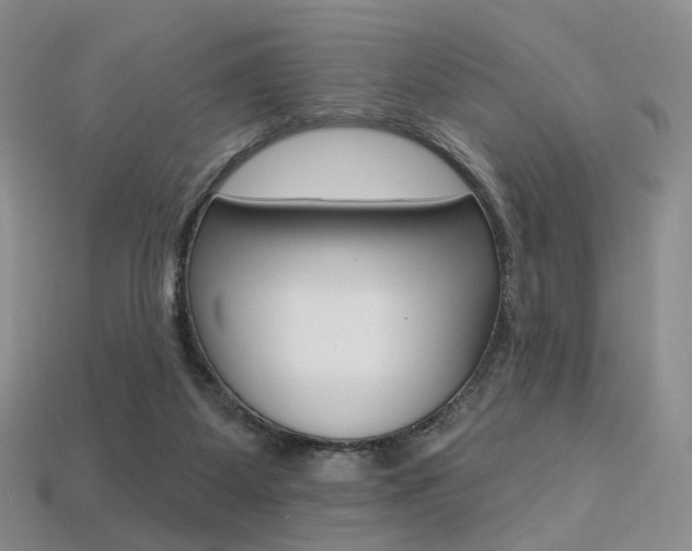 X0000113230115200909100951