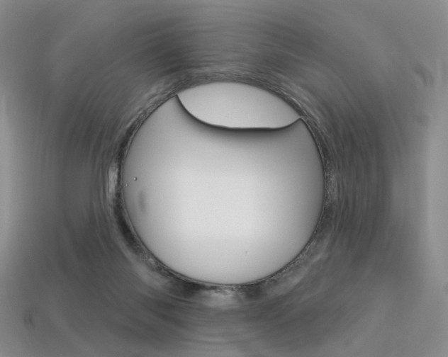 X0000113230118200909100951