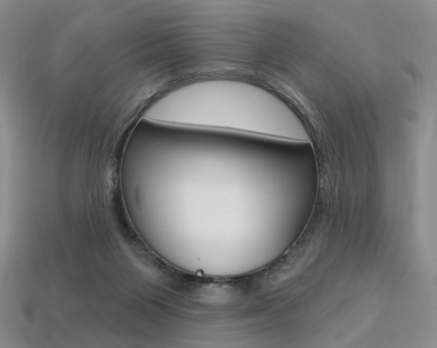 X0000113230119200909100951