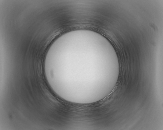 X0000113230120200909100951