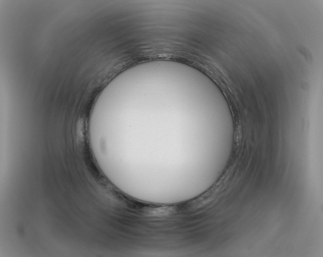 X0000113230122200909100951