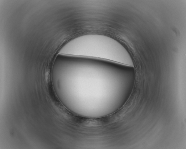 X0000113230123200909100951