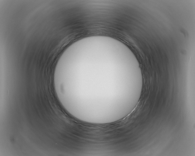 X0000113230124200909100951