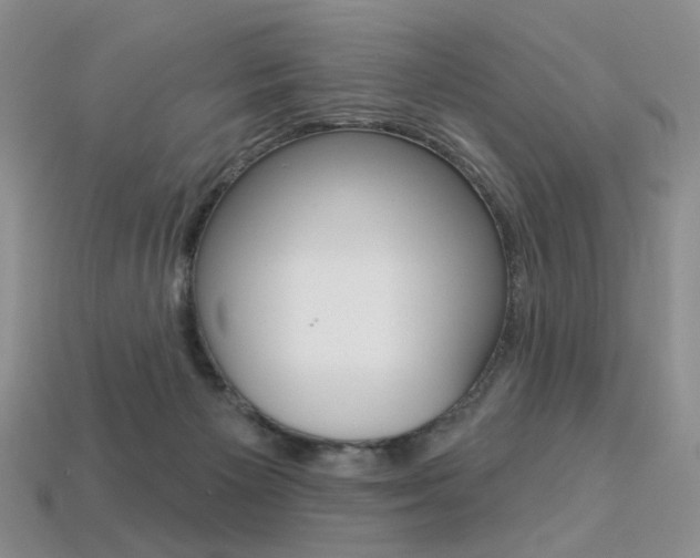 X0000113230125200909100951