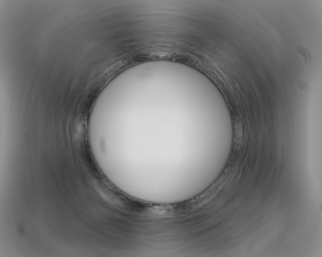 X0000113230126200909100951