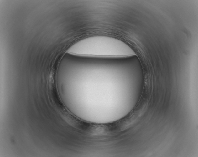 X0000113230127200909100951