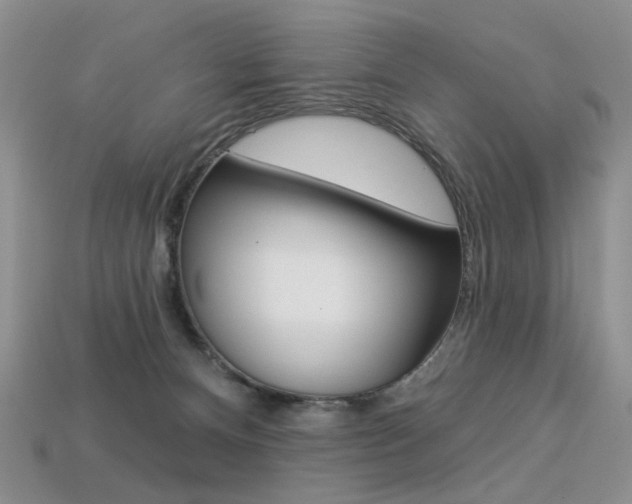 X0000113230128200909100951