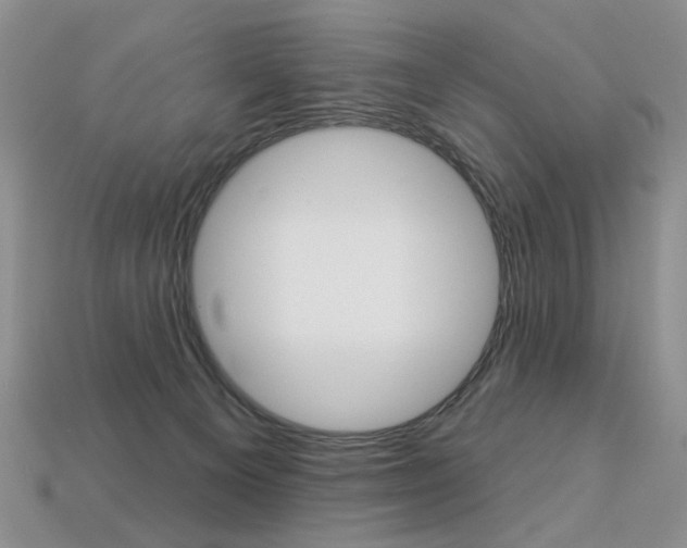 X0000113230129200909100951
