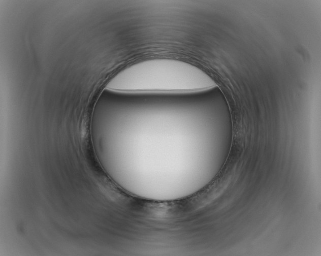 X0000113230131200909100951
